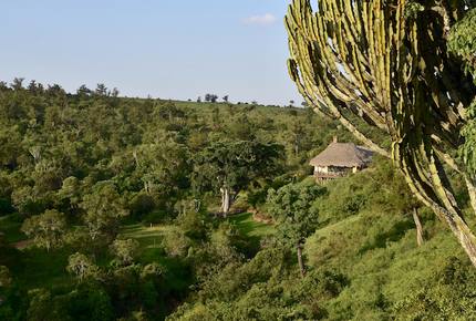 The Round House and Bunk Room at Olepangi Farm - all inclusive - Mt. Kenya - Timau, Kenya