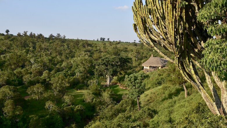 The Round House and Bunk Room at Olepangi Farm - all inclusive - Mt. Kenya - Timau, Kenya