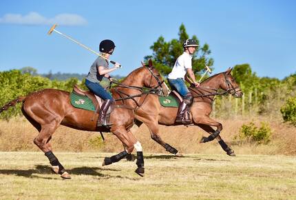 The Round House and Bunk Room at Olepangi Farm - all inclusive - Mt. Kenya - Timau, Kenya