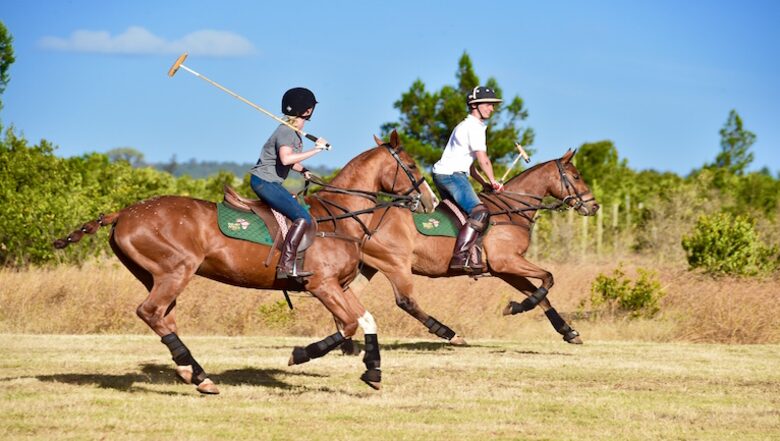 The Round House and Bunk Room at Olepangi Farm - all inclusive - Mt. Kenya - Timau, Kenya