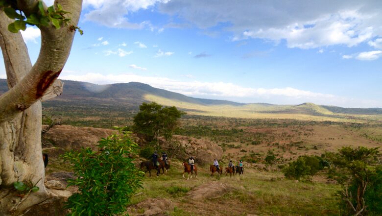 The Round House and Bunk Room at Olepangi Farm - all inclusive - Mt. Kenya - Timau, Kenya