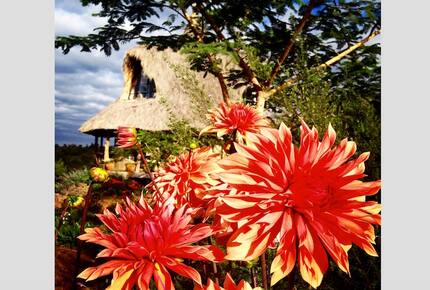 The Round House and Bunk Room at Olepangi Farm - all inclusive - Mt. Kenya - Timau, Kenya