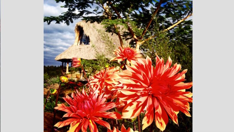 The Round House and Bunk Room at Olepangi Farm - all inclusive - Mt. Kenya - Timau, Kenya