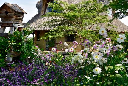 The Round House and Bunk Room at Olepangi Farm - all inclusive - Mt. Kenya - Timau, Kenya