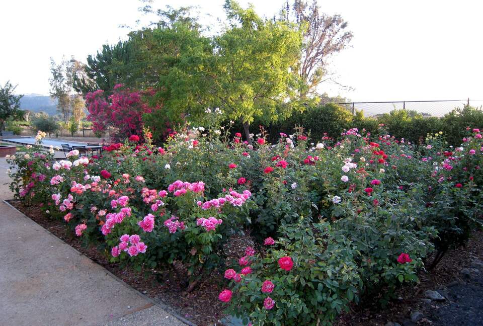 Villa Calistoga in Napa Valley Wine Country - Calistoga, California