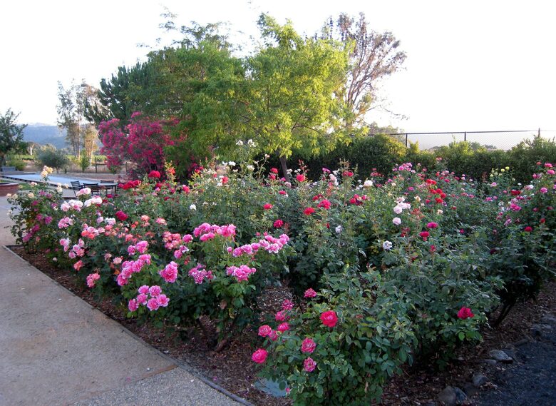 Villa Calistoga in Napa Valley Wine Country - Calistoga, California