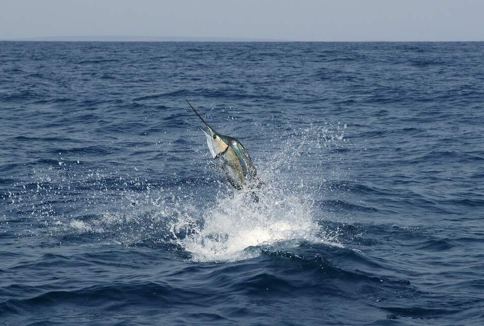 Raiwasa Private Retreat - Taveuni Island, Fiji