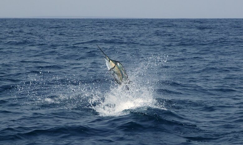 Raiwasa Private Retreat - Taveuni Island, Fiji