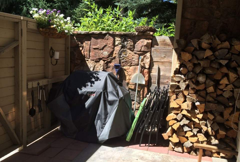 Ajax Mountain View Condo - Aspen, Colorado