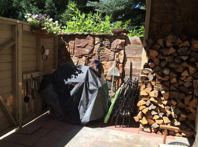 Ajax Mountain View Condo - Aspen, Colorado