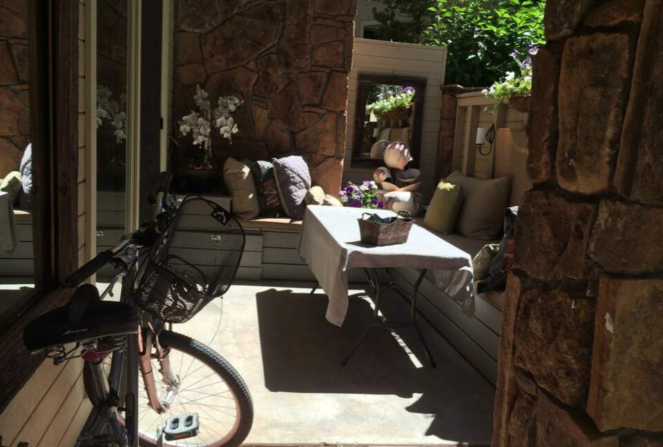 Ajax Mountain View Condo - Aspen, Colorado