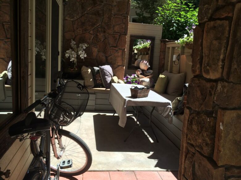 Ajax Mountain View Condo - Aspen, Colorado