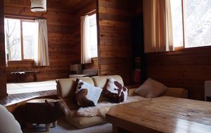 Woodpecker Chalet - Hakuba Village, Japan