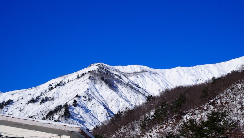 Woodpecker Chalet - Hakuba Village, Japan