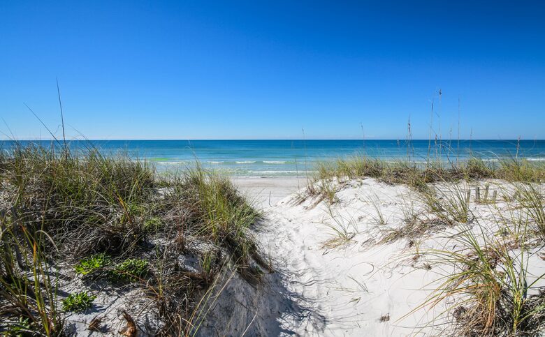 The Cape House - Luxury Oceanfront Dream - Port St Joe, Florida