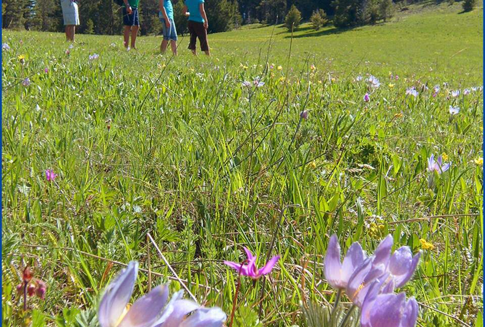 Bridger Vista Lodge - Escape to rural Montana - Bozeman, Montana