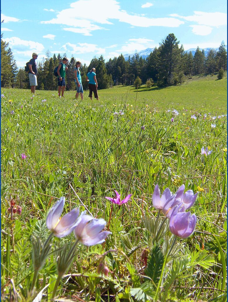 Bridger Vista Lodge - Escape to rural Montana - Bozeman, Montana