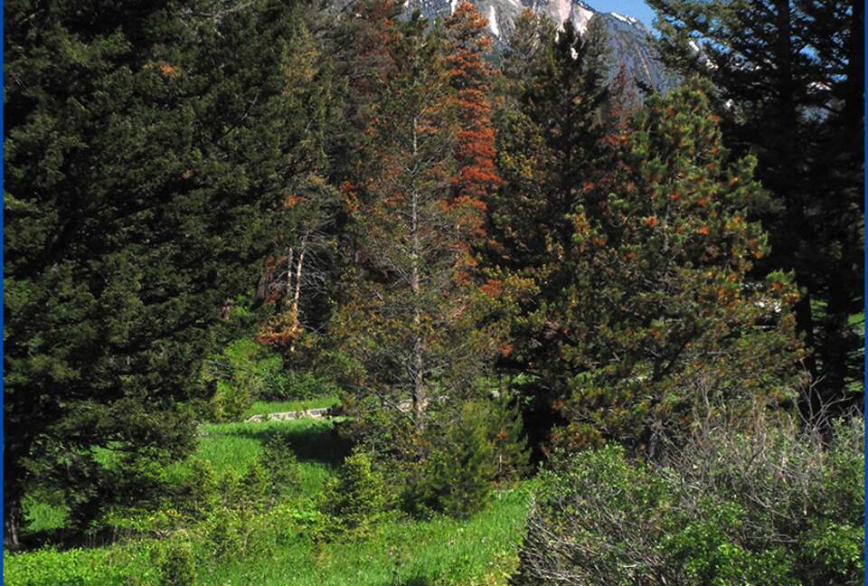 Bridger Vista Lodge - Escape to rural Montana - Bozeman, Montana