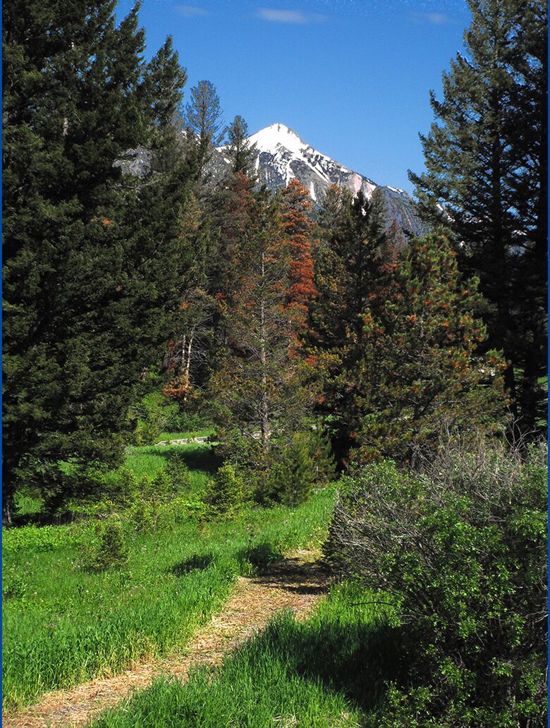 Bridger Vista Lodge - Escape to rural Montana - Bozeman, Montana