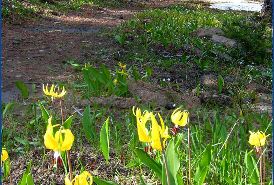 Bridger Vista Lodge - Escape to rural Montana - Bozeman, Montana