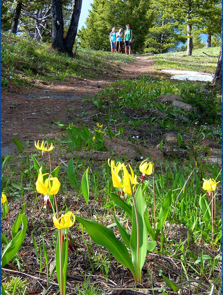 Bridger Vista Lodge - Escape to rural Montana - Bozeman, Montana