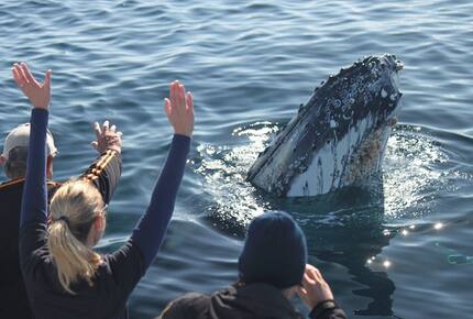 EXCLUSIVE STAY EXPERIENCE - Cape Town International Jazz Fest, South Africa