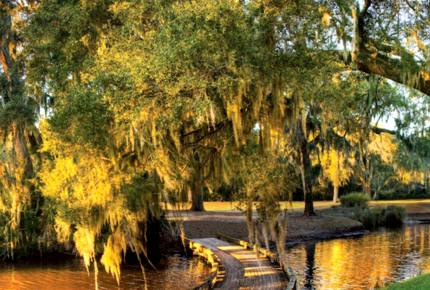 Omni Amelia Island Plantation Resort - Two Bedroom Residence - Fernandina Beach, FL, Florida