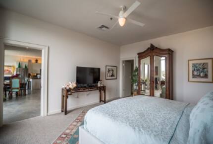 Elegant Warehouse District Penthouse - New Orleans, Louisiana