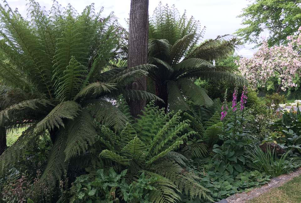 The Stone House - Perth Tasmania, Australia