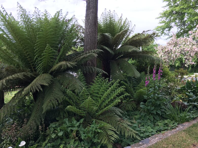 The Stone House - Perth Tasmania, Australia