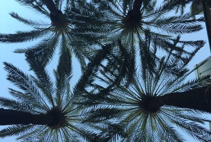 Casa Blanca Beach House (Playa's #1 Vacation Rental) - Playa del Carmen, Mexico