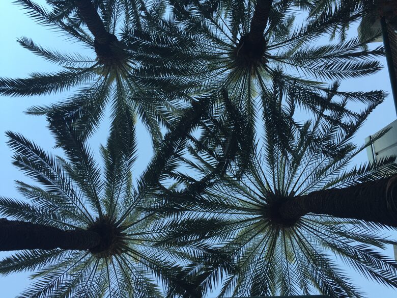 Casa Blanca Beach House (Playa's #1 Vacation Rental) - Playa del Carmen, Mexico