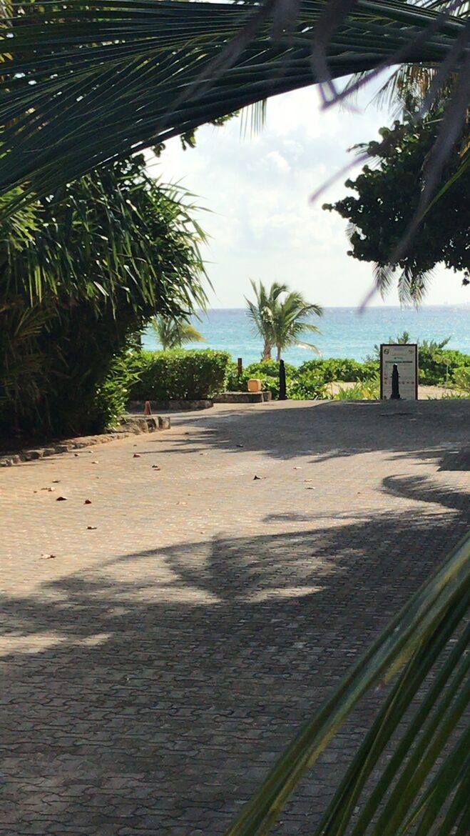 Casa Blanca Beach House (Playa's #1 Vacation Rental) - Playa del Carmen, Mexico