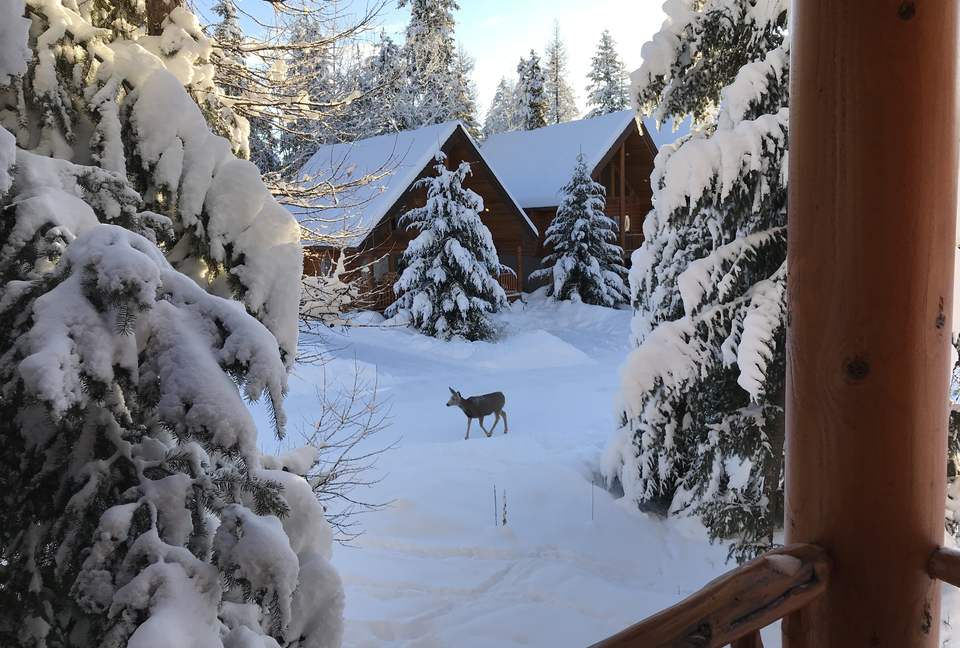 Luxury Log Cabin in the Mountains of British Columbia - Kimberley, Canada