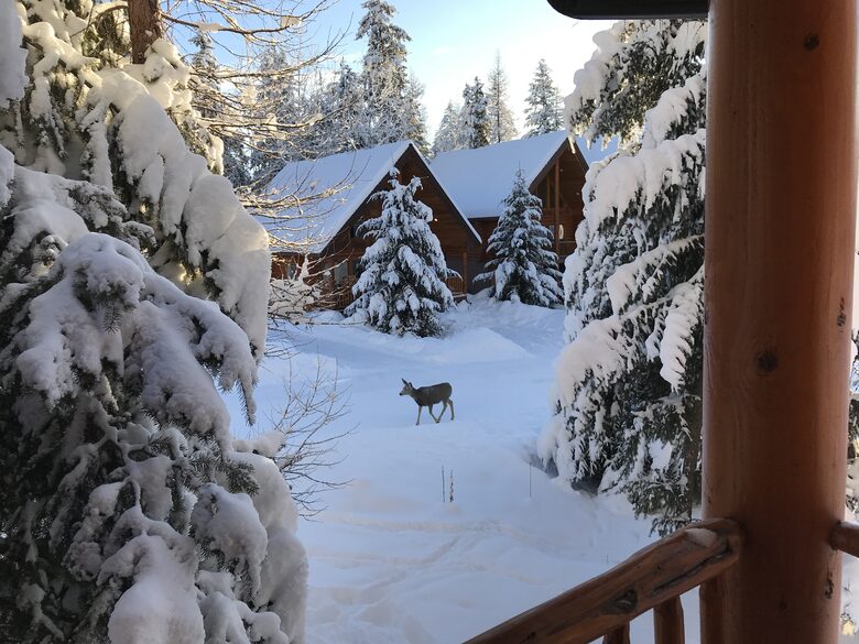 Luxury Log Cabin in the Mountains of British Columbia - Kimberley, Canada