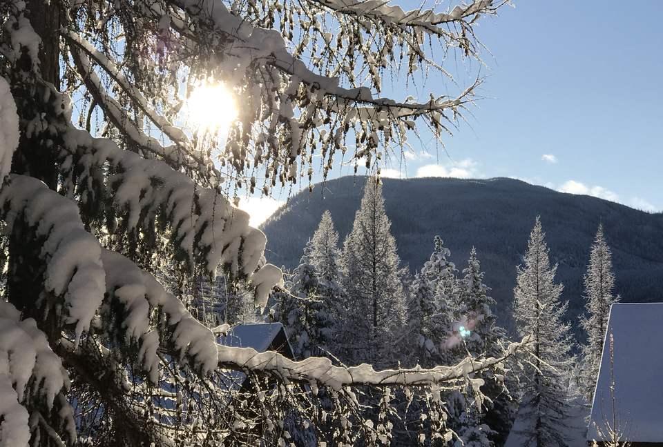 Luxury Log Cabin in the Mountains of British Columbia - Kimberley, Canada