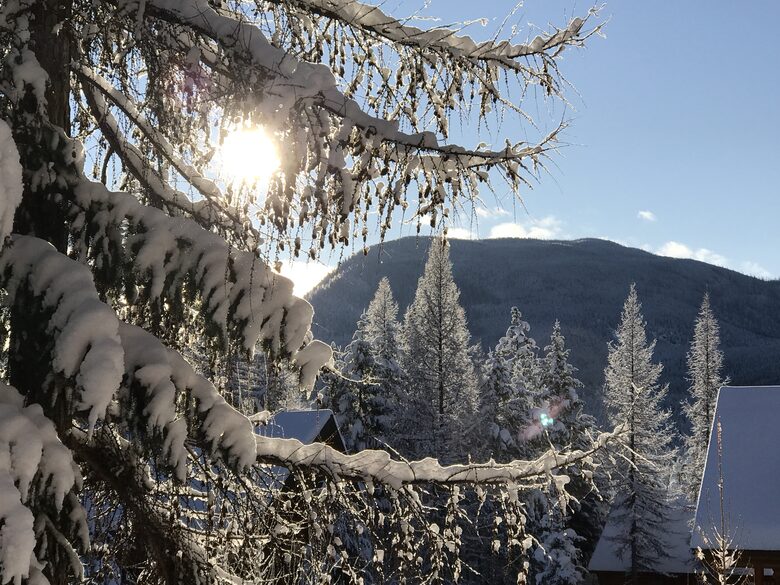 Luxury Log Cabin in the Mountains of British Columbia - Kimberley, Canada