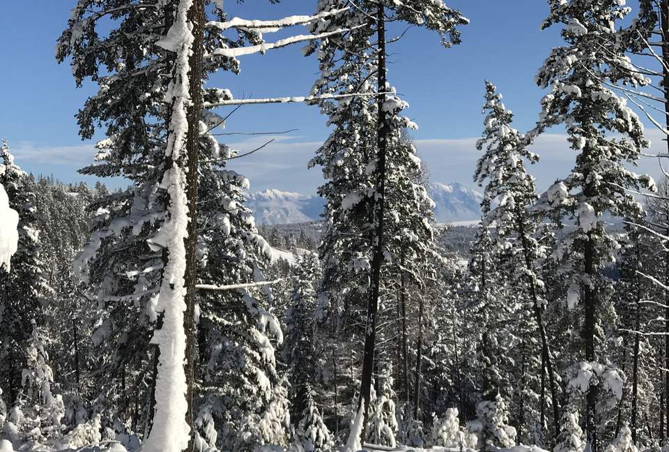 Luxury Log Cabin in the Mountains of British Columbia - Kimberley, Canada