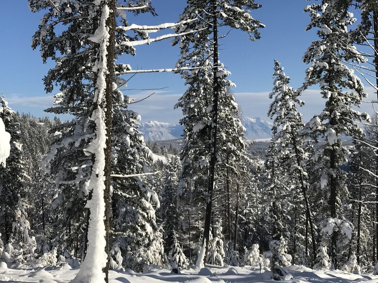 Luxury Log Cabin in the Mountains of British Columbia - Kimberley, Canada