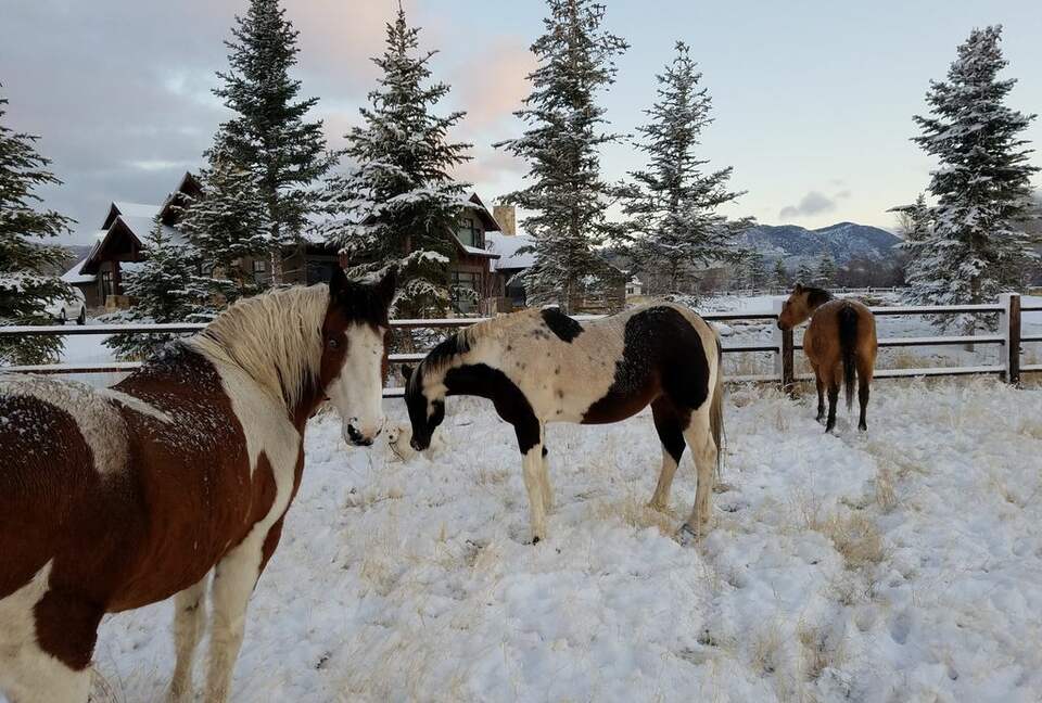 Twilight Moon Ranch - Park City - Kamas, Utah
