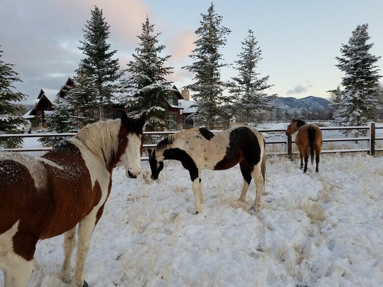 Twilight Moon Ranch - Park City - Kamas, Utah