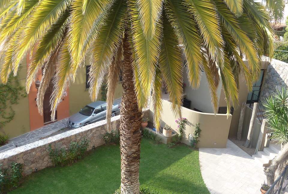 Great View Paradise. - San Miguel Allende, Mexico