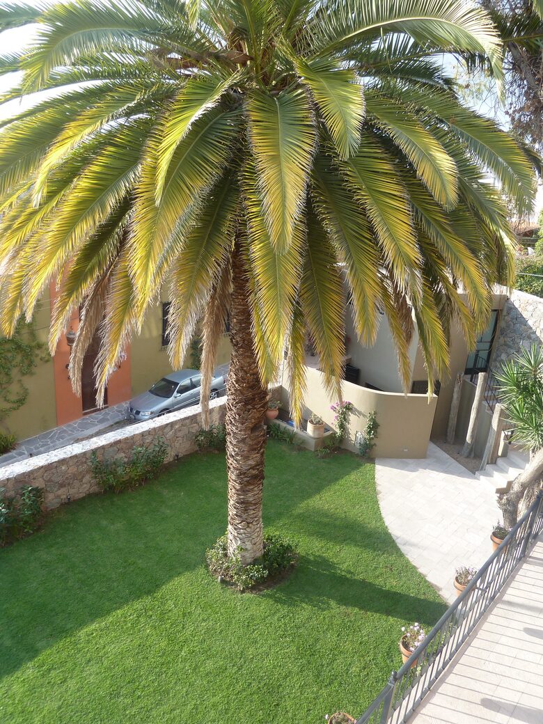 Great View Paradise. - San Miguel Allende, Mexico