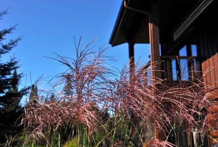 Luxury on the River - Lac Supérieur, Canada