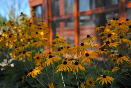 Luxury on the River - Lac Supérieur, Canada