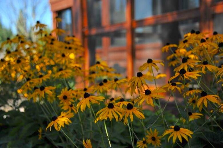 Luxury on the River - Lac Supérieur, Canada