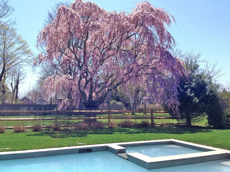 Traditional East Hampton Home - East Hampton, New York