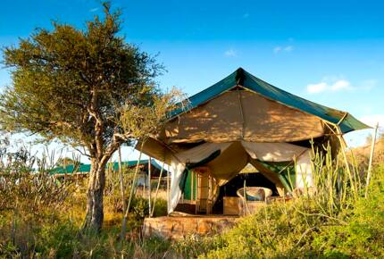 Laikipia Wilderness Camp - Nanyuki, Kenya