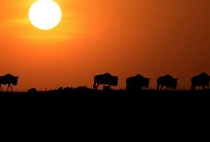 Laikipia Wilderness Camp - Nanyuki, Kenya