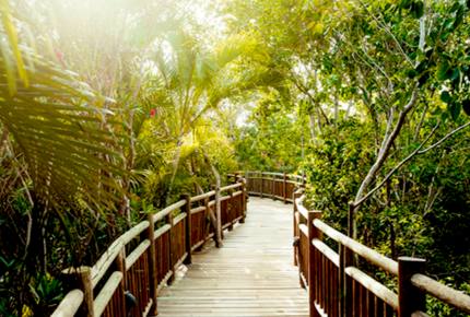 Vidanta Riviera Maya Grand Bliss Two-Bedroom Luxury Suite - Riviera Maya, Mexico